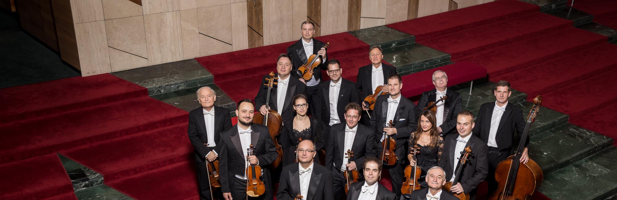 Franz Liszt Chamber Orchestra 