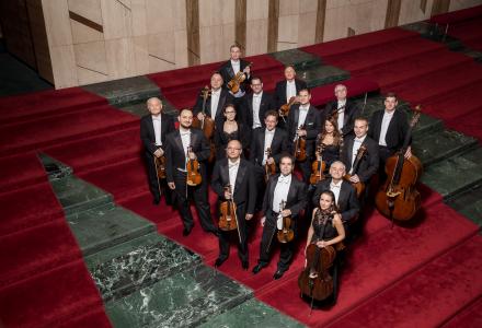 Franz Liszt Chamber Orchestra 