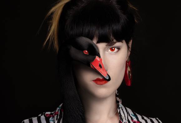 Črni labod, foto Sanja Tošič