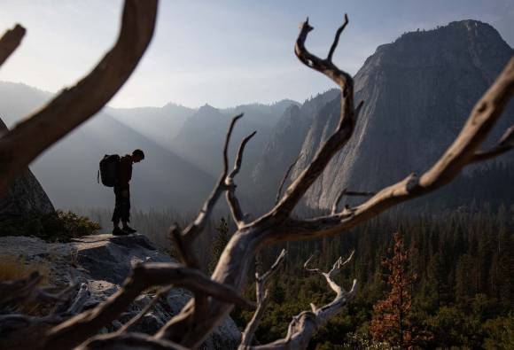 Film Free Solo solo plezalec  Alex Honnold