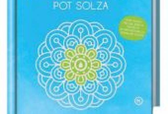 Pot solza