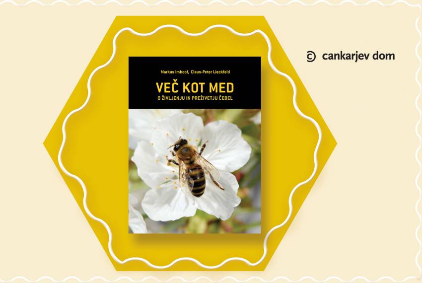 Predstavitev knjige Več kot med (More than Honey) avtorja Markusa Imhoofa
